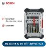 Bộ Đầu Vặn Vít Bosch Extra Hard 43 Món (2607017723) Chính Hãng - hình ảnh sản phẩm